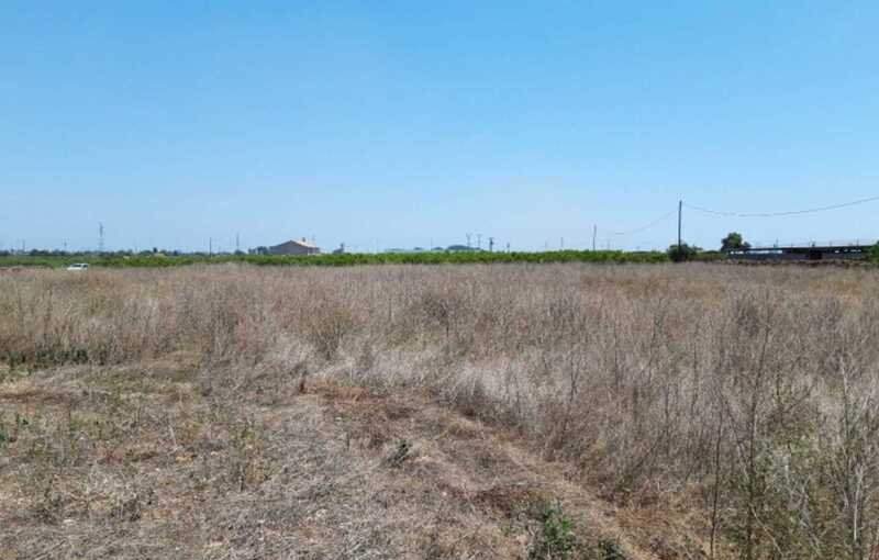 Terreno Rústico en venta en Castellón De La Plana, Castellón