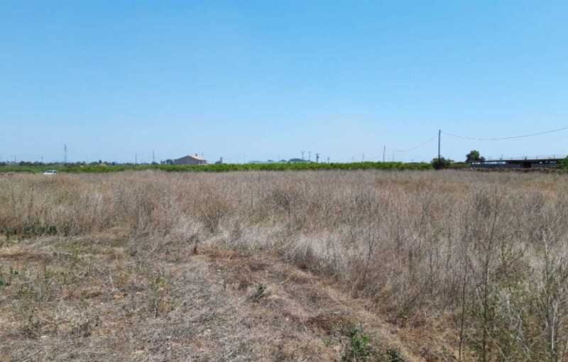 Terreno Rústico en venta en Castellón De La Plana, Castellón