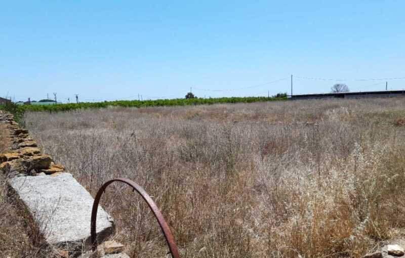 Terreno Rústico en venta en Castellón De La Plana, Castellón