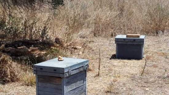 Terreno Rústico en venta en Castellón De La Plana, Castellón