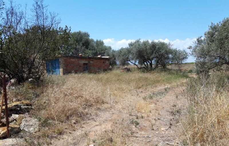 Terreno Rústico en venta en Castellón De La Plana, Castellón