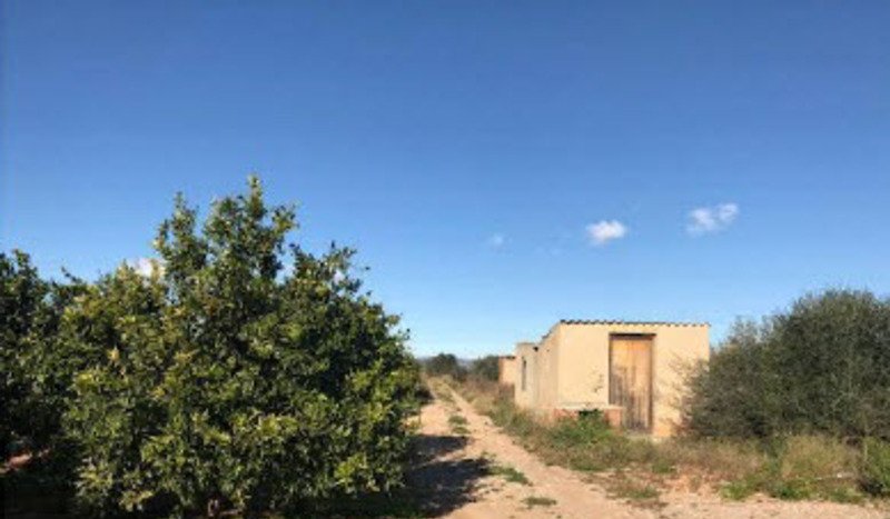 Terreno Rústico en venta en Castellón De La Plana, Castellón