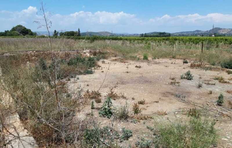 Terreno Rústico en venta en Castellón De La Plana, Castellón