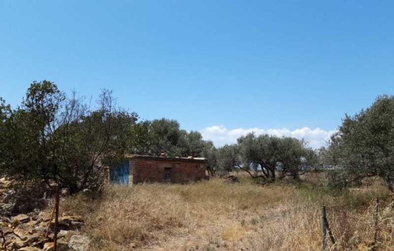Terreno Rústico en venta en Castellón De La Plana, Castellón