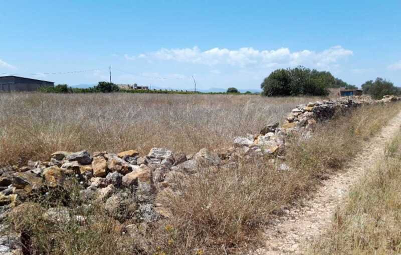 Terreno Rústico en venta en Castellón De La Plana, Castellón