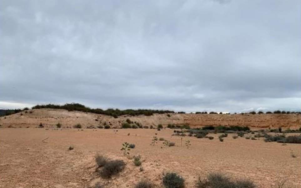 Finca Rústica En Venta En Paraje De Riquelme, Murcia