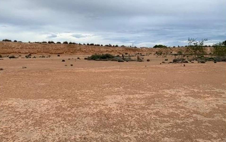 Finca Rústica En Venta En Paraje De Riquelme, Murcia