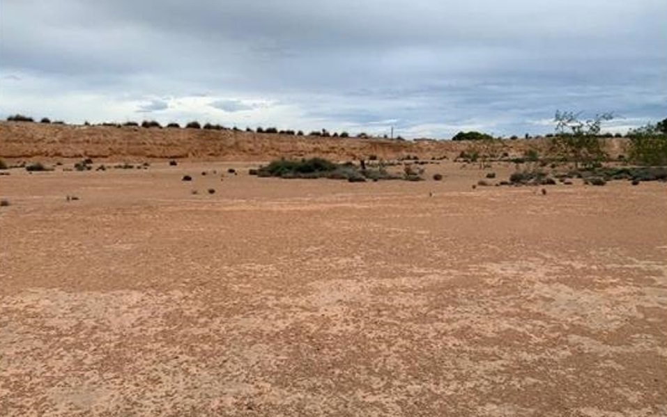 Finca Rústica En Venta En Paraje De Riquelme, Murcia