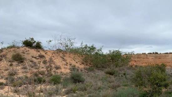 Finca Rústica En Venta En Paraje De Riquelme, Murcia