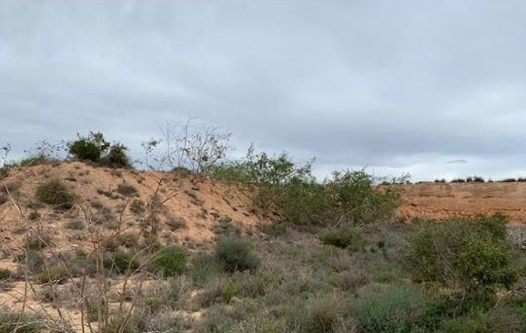 Finca Rústica En Venta En Paraje De Riquelme, Murcia
