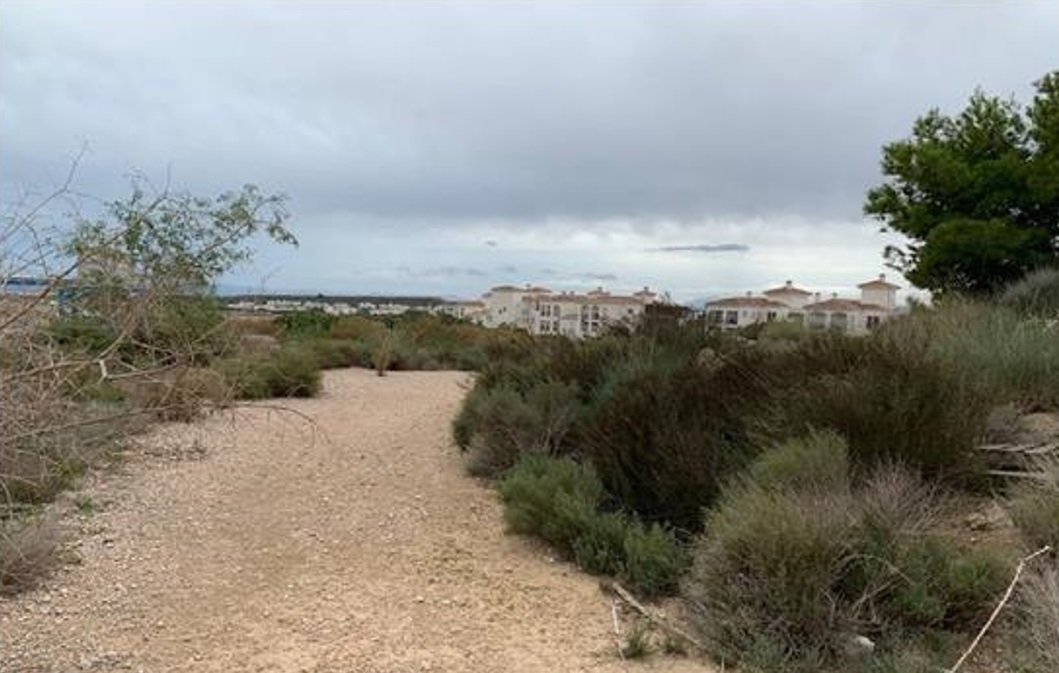 Finca Rústica En Venta En Paraje De Riquelme, Murcia