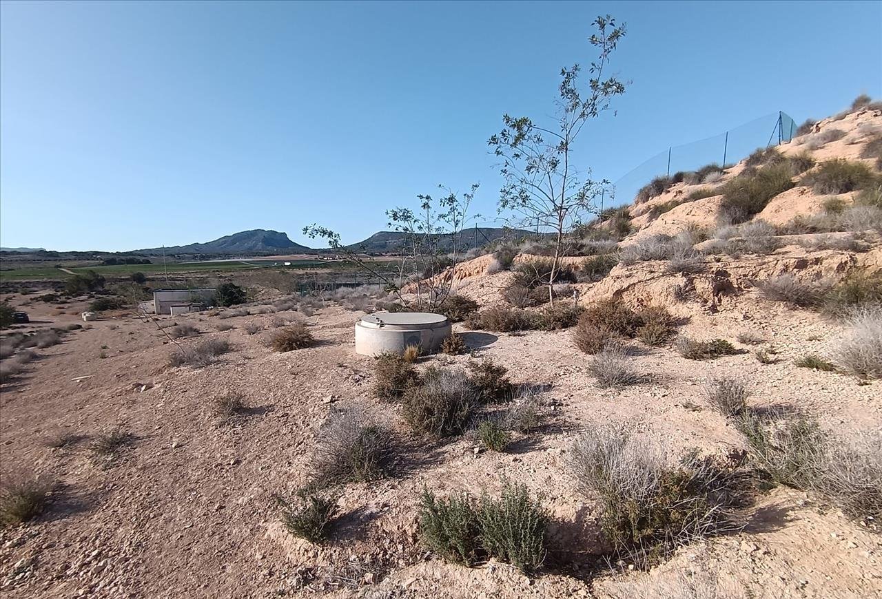 Finca Rústica En Venta En Paraje De Riquelme, Murcia