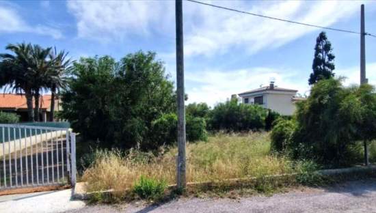 Finca rstica a la venta en calle partida de la molinera Castelln de la PlanaCastell de la Plana por 41000 de 1626m