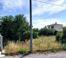 Finca rstica a la venta en calle partida de la molinera Castelln de la PlanaCastell de la Plana por 41000 de 1626m