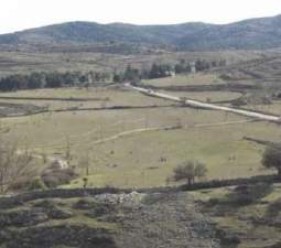 Finca rústica con edificaciones en Morella Castellón