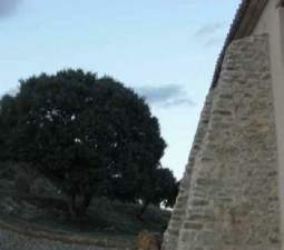 Finca rústica con edificaciones en Morella Castellón