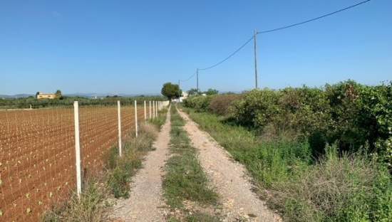 Terreno Rústico en venta en Benicarló, Castellón