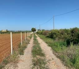 Terreno Rústico en venta en Benicarló, Castellón