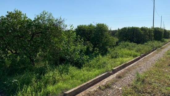 Terreno Rústico en venta en Benicarló, Castellón