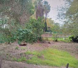 Terreno Urbano en venta en Castellón De La Plana, Castellón