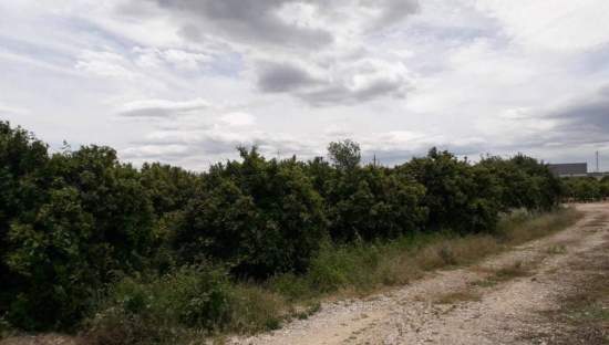 No Urbanizable Rstico en venta  en Pasaje Realengo Alberic Valencia