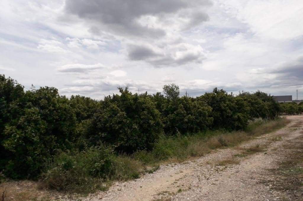 No Urbanizable Rstico en venta  en Pasaje Realengo Alberic Valencia