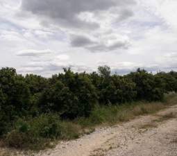 No Urbanizable Rstico en venta  en Pasaje Realengo Alberic Valencia