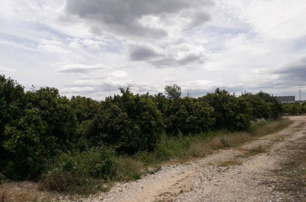 No Urbanizable Rstico en venta  en Pasaje Realengo Alberic Valencia