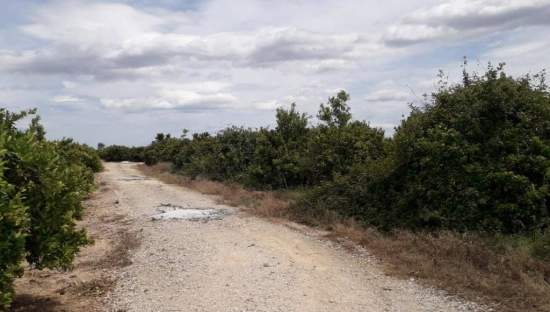 No Urbanizable Rstico en venta  en Pasaje Realengo Alberic Valencia