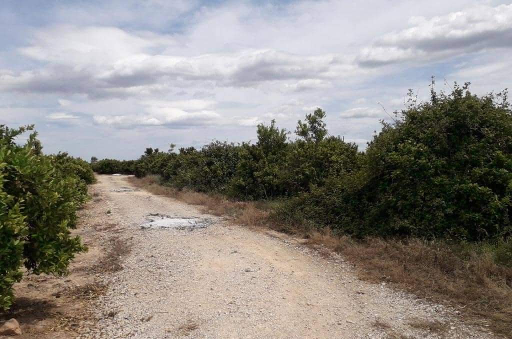 No Urbanizable Rstico en venta  en Pasaje Realengo Alberic Valencia