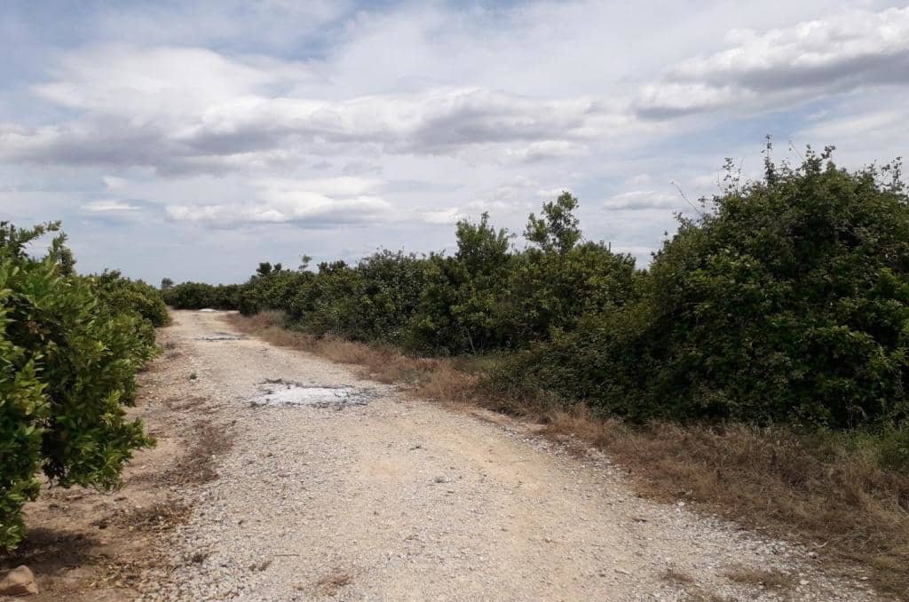 No Urbanizable Rstico en venta  en Pasaje Realengo Alberic Valencia