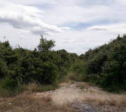 No Urbanizable Rstico en venta  en Pasaje Realengo Alberic Valencia