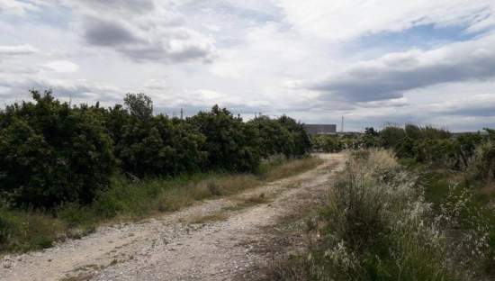 No Urbanizable Rstico en venta  en Pasaje Realengo Alberic Valencia