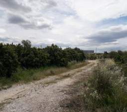 No Urbanizable Rstico en venta  en Pasaje Realengo Alberic Valencia