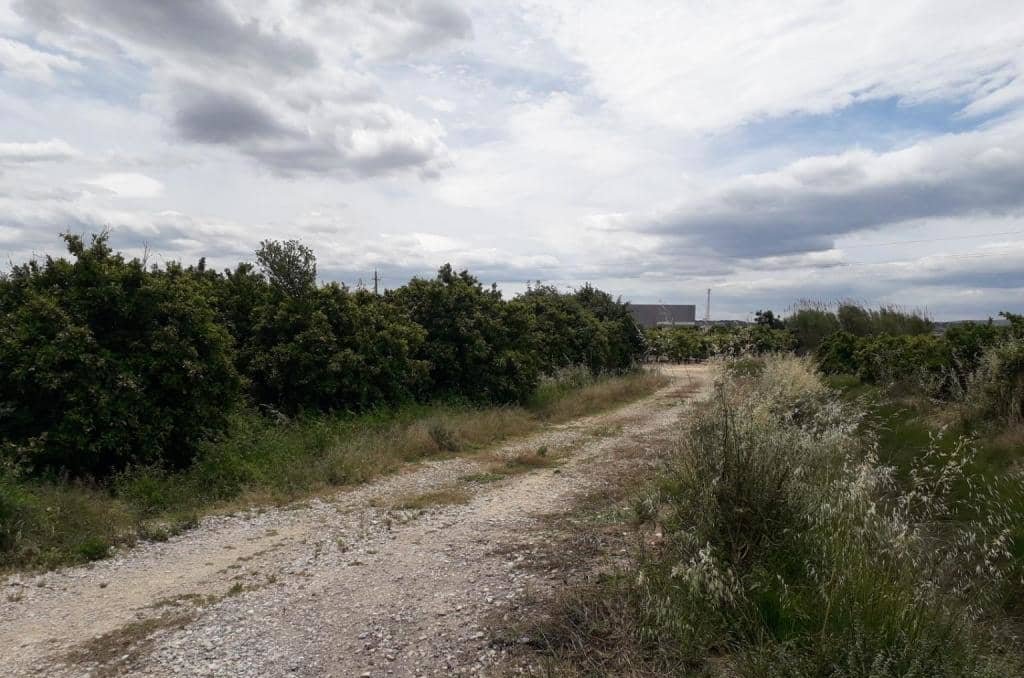 No Urbanizable Rstico en venta  en Pasaje Realengo Alberic Valencia