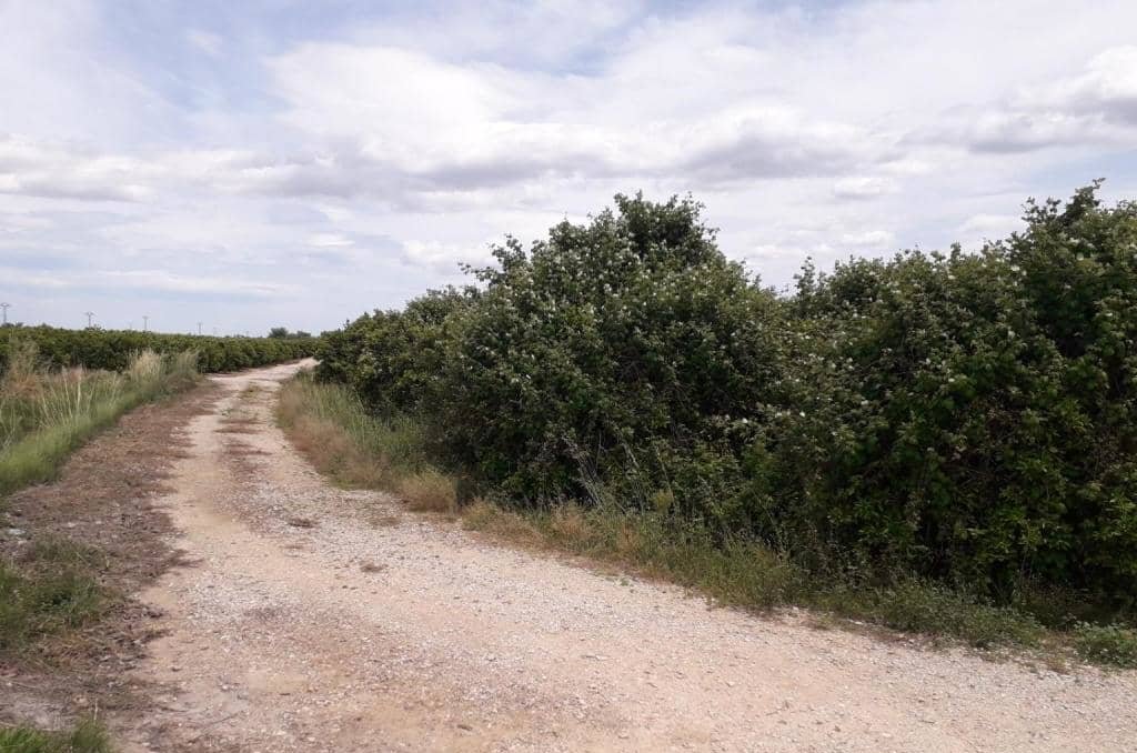No Urbanizable Rstico en venta  en Pasaje Realengo Alberic Valencia